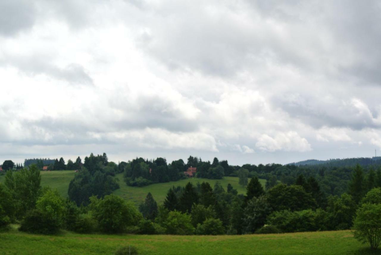 Ferienwohnung Harz-Flair 264 Hohegeiß 외부 사진