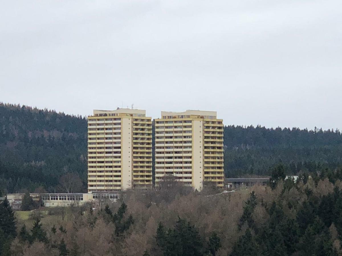 Ferienwohnung Harz-Flair 264 Hohegeiß 외부 사진